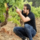 Bodegas Frontonio