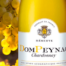 DomPeynac