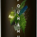 Pounamu