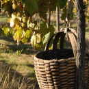 Quinta Da Calcada