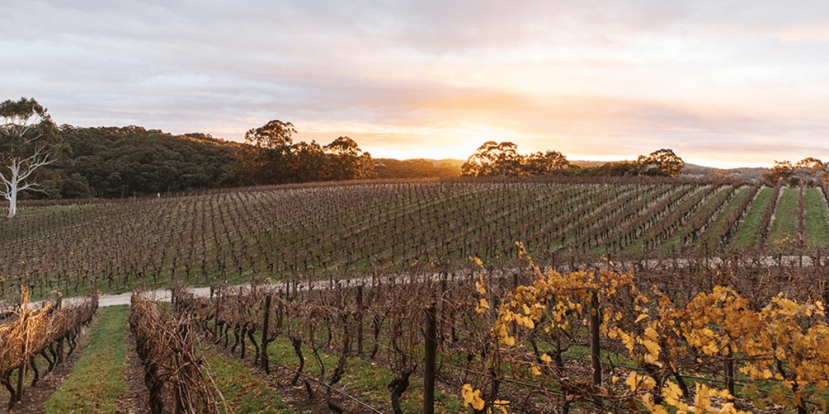 Adelaide Hills Wijnen