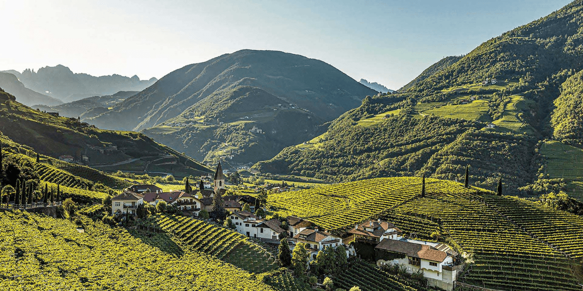 Alto-Adige Wijnen