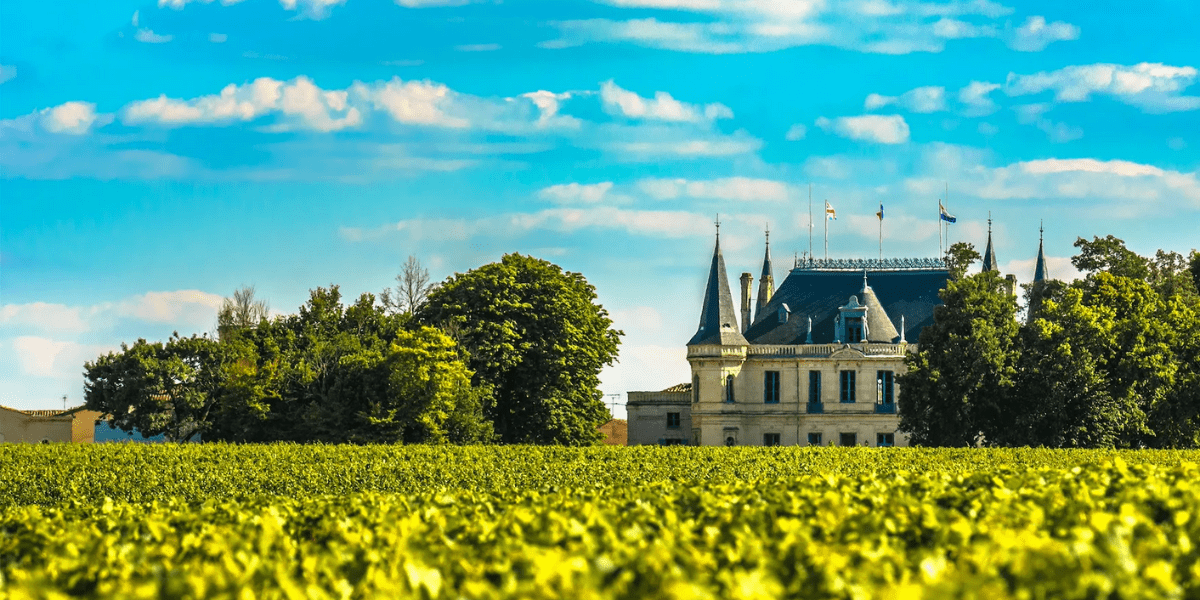 Bordeaux Wijnen