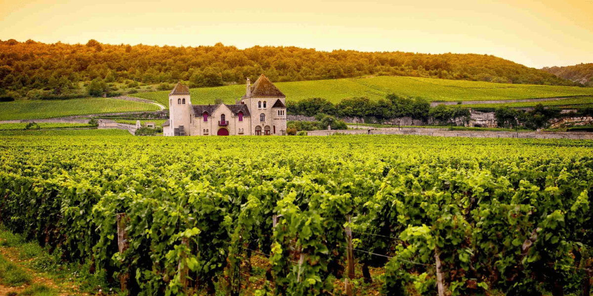 Bourgogne Wijnen
