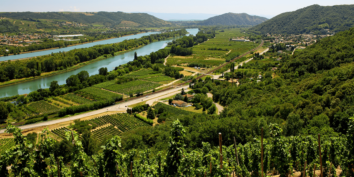 Côtes Du Rhône Wijnen