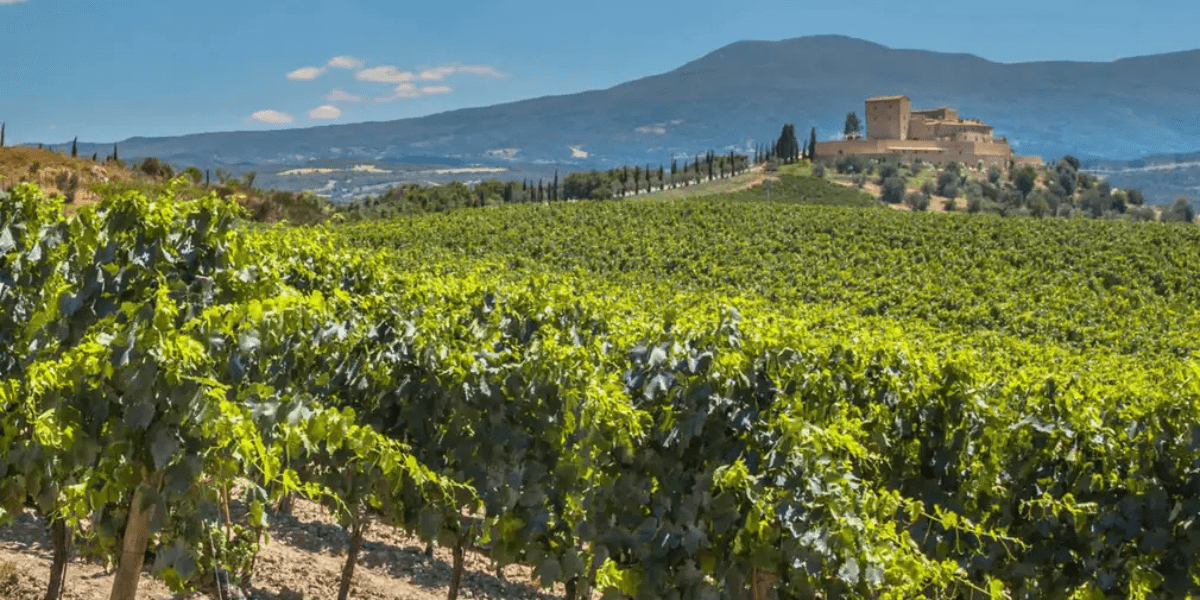 La-rioja