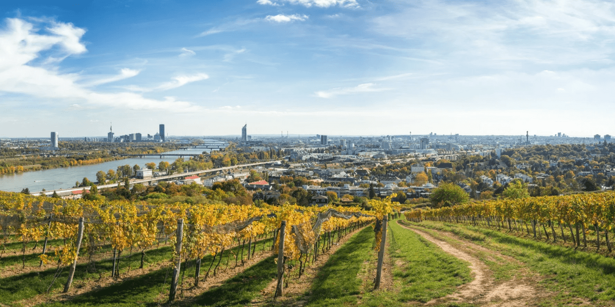Wien Wijnen