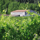 Domaine De Triennes