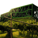 Cantina Tramin