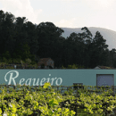 Quinta Do Regueiro