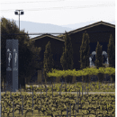Finca Egomei
